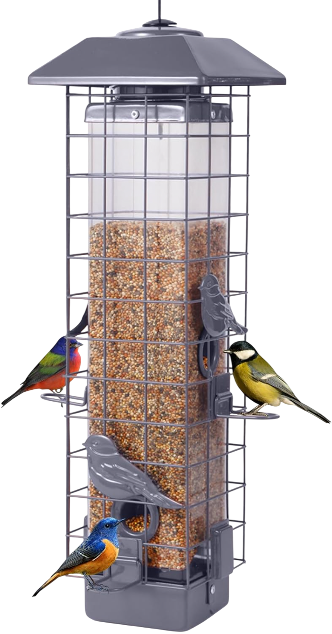 Squirrel X Squirrel Proof Bird Feeder for Outside