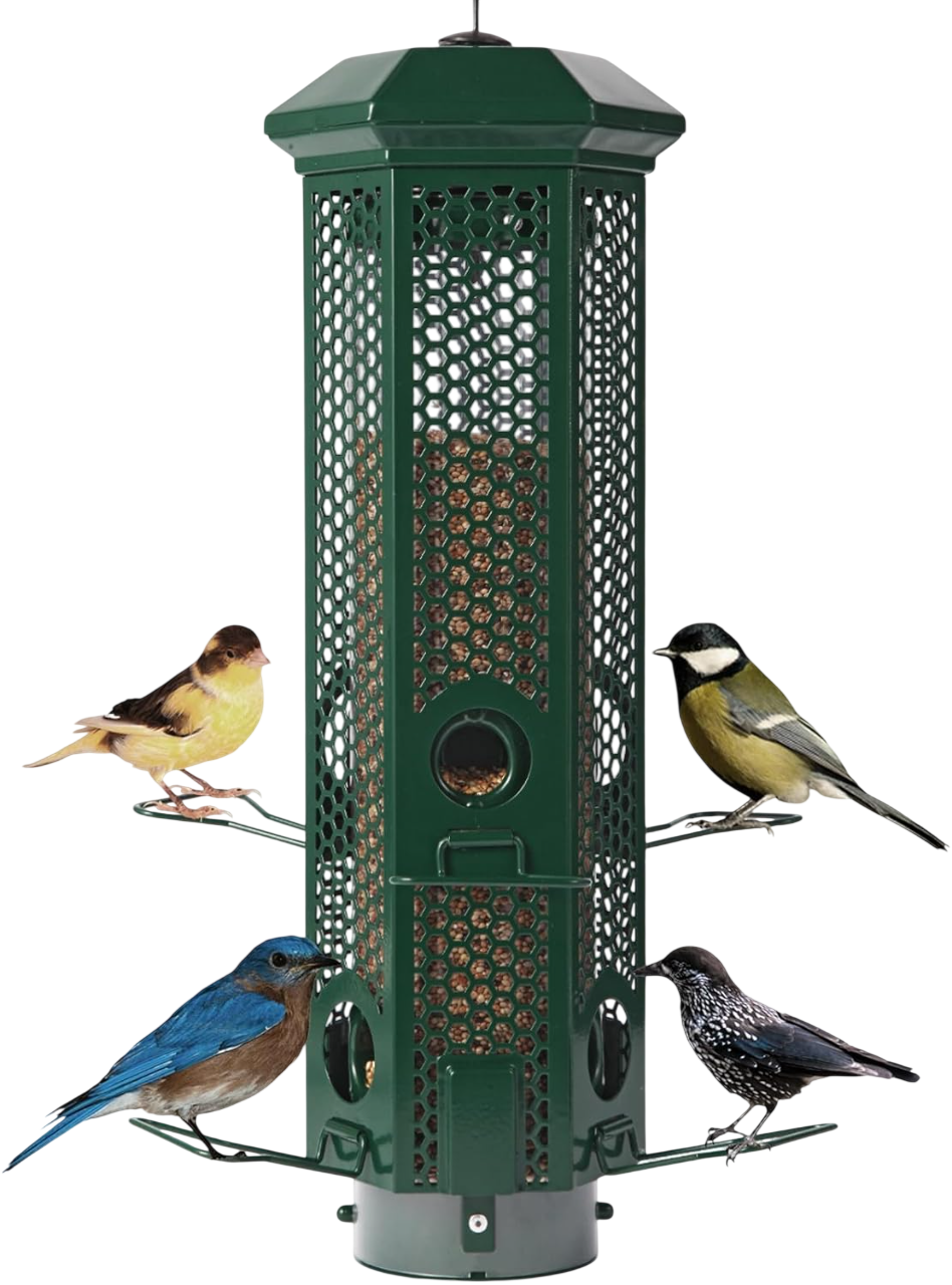 Squirrel Proof Bird Feeders with Removable Base by Squirrel X