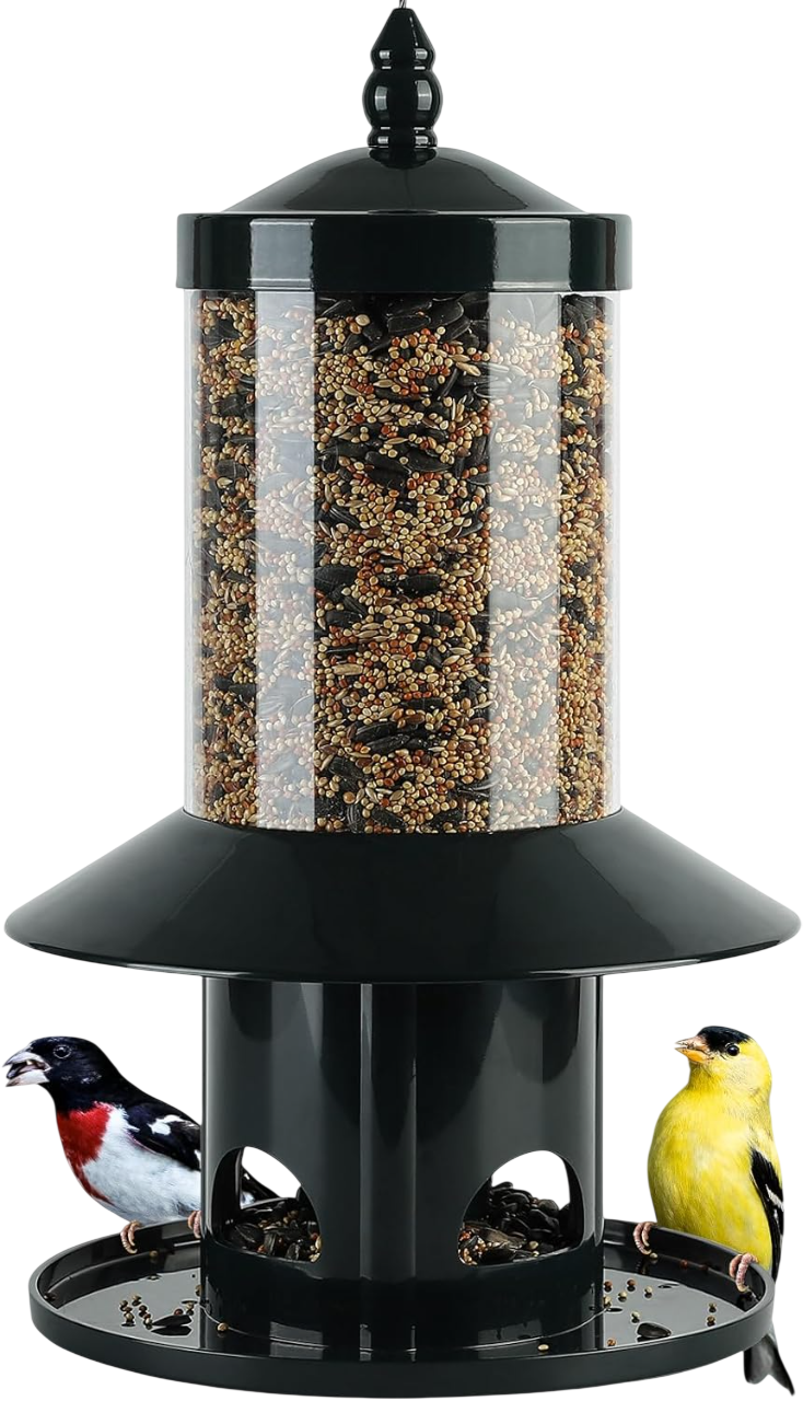 360° Feeding Perch Tray Squirrel Proof by Squirrel X
