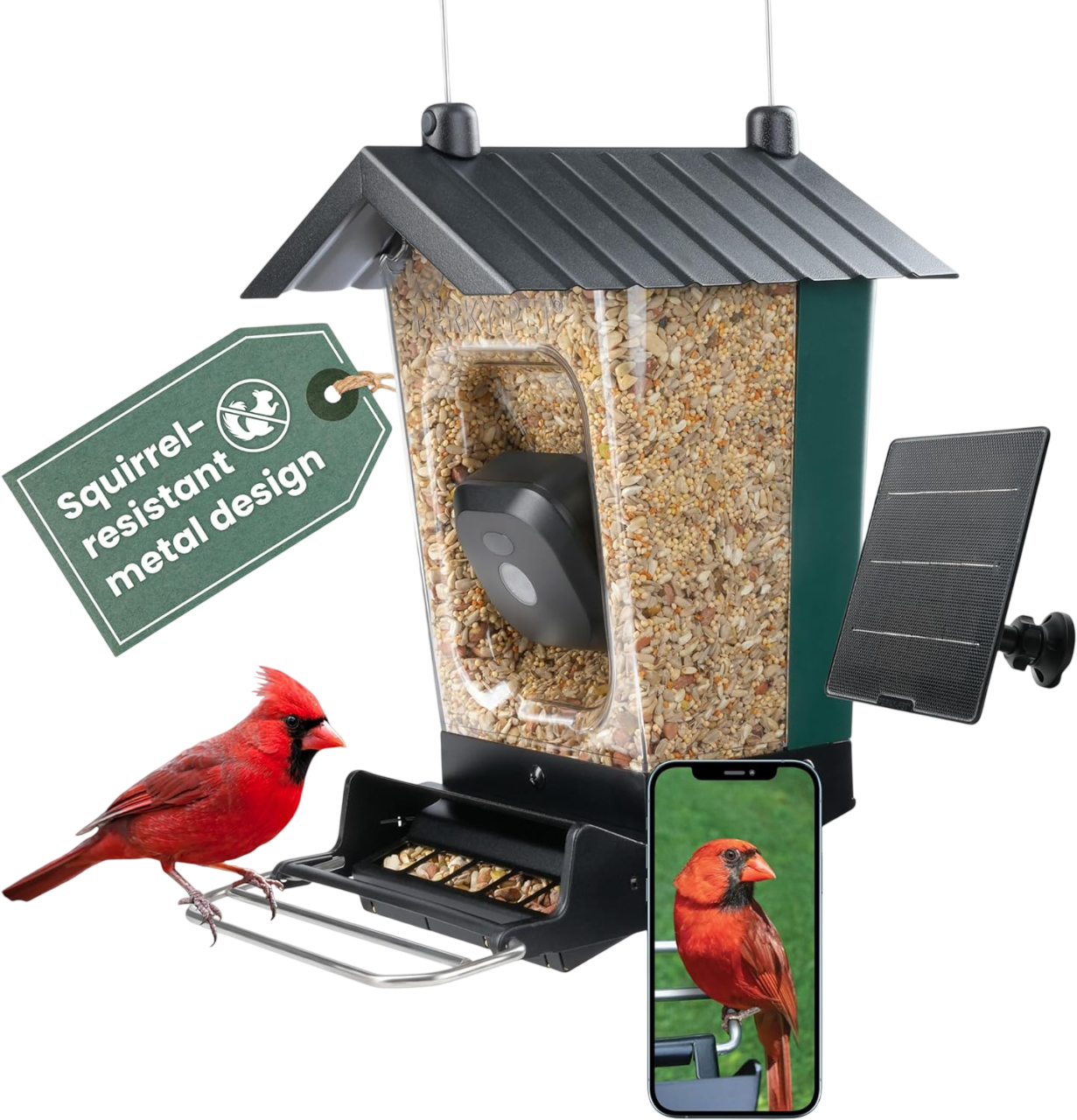 Solar Powered Smart Bird Feeder