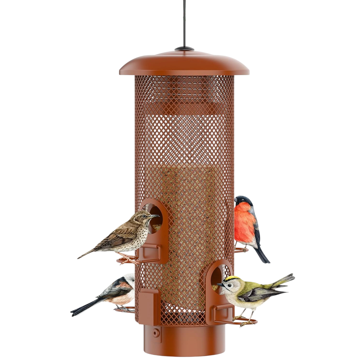 Metal Squirrel Proof Bird Feeder