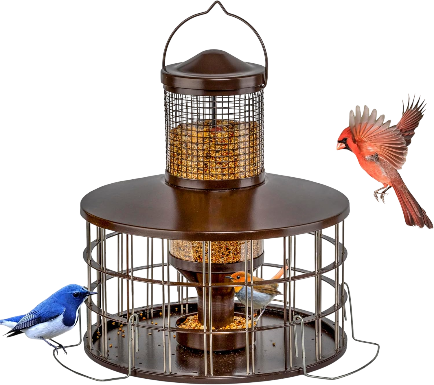 Squirrel X Caged Bird Feeders Squirrel-Proof